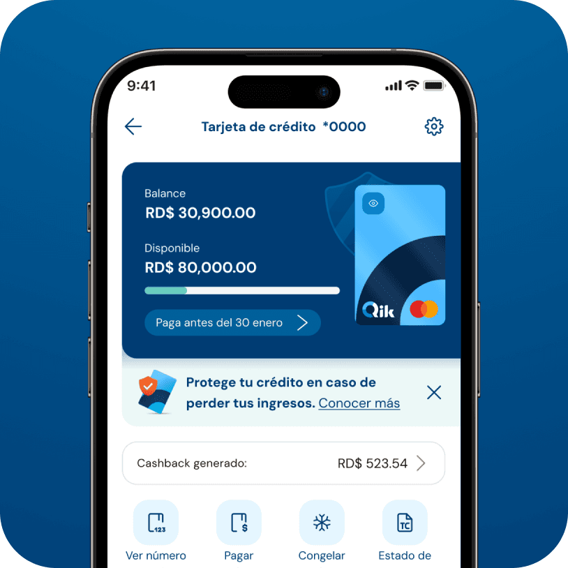 Credit card screen in the Qik app